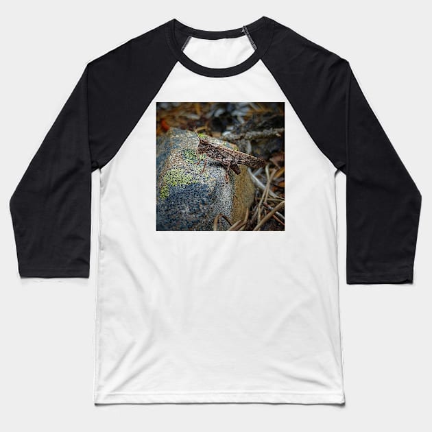 Camouflage Grasshopper Baseball T-Shirt by Rebekah Slick